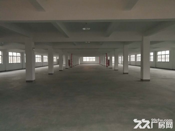 机场高架下桥南开发区整栋厂房出租 5000方和9000方-图3