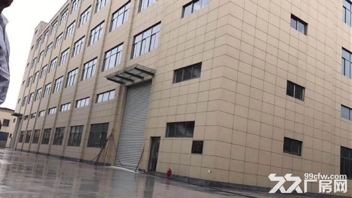 机场高架下桥南开发区整栋厂房出租 5000方和9000方-图4