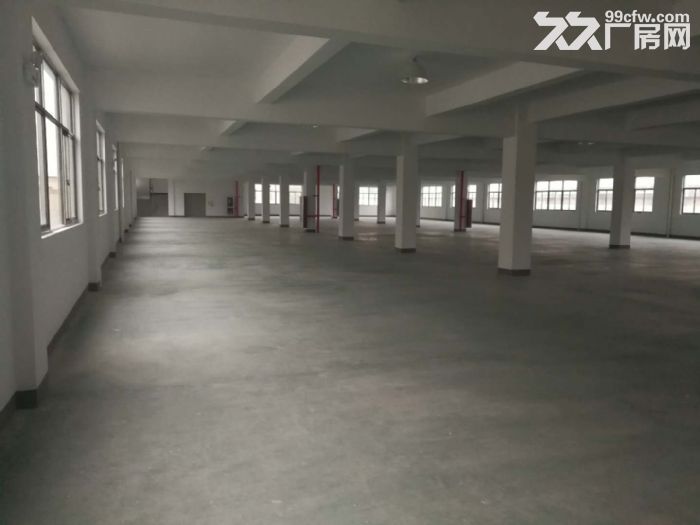 机场高架下桥南开发区整栋厂房出租 5000方和9000方-图5