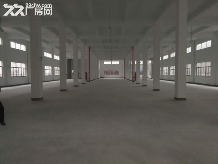 机场高架下桥南开发区整栋厂房出租 5000方和9000方-图8