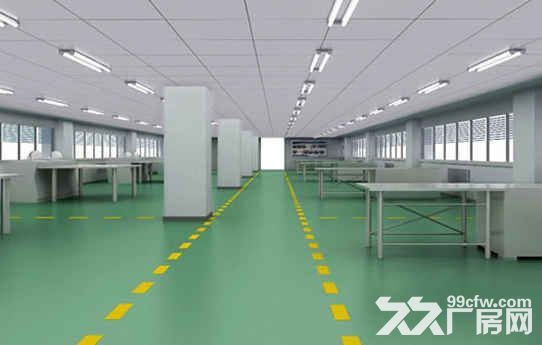 出租进化600方单层钢结构厂房，层高8米，独门独院，报价15万-图2