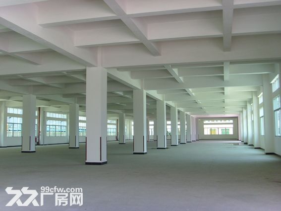 出租进化2000方单层厂房，层高8米，有办公，报价40万可谈-图3
