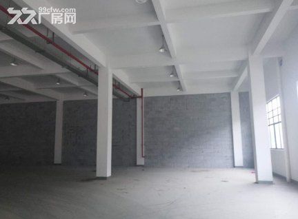 海宁长安30000方全新厂房  大小面积都可以分租-图5