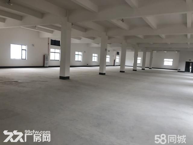 临安锦南街道标准厂房出租.可分-图4