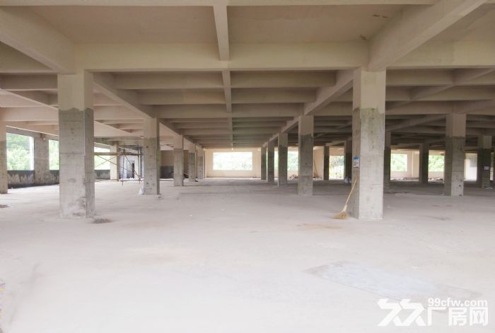 临安青山湖畔新建9000方厂房出租-图3
