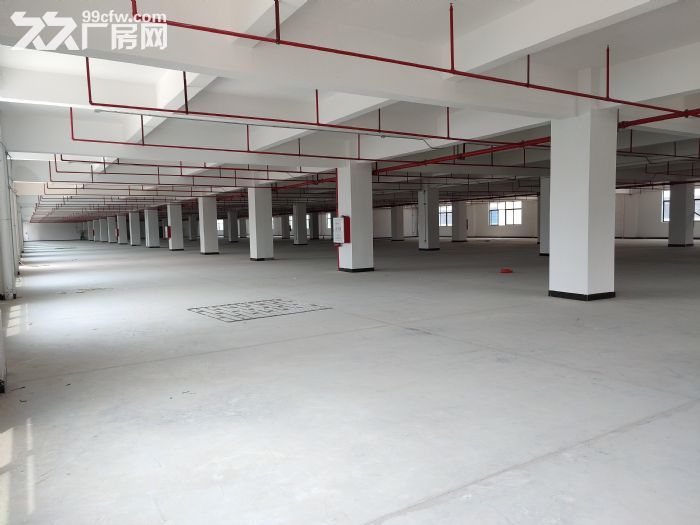 出租临安鹤亭街3700方厂房，3楼1600方，4楼2100方，层高4.5米-图3