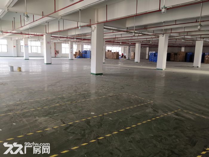 出租临平7500方厂房出租，价格面议-图2