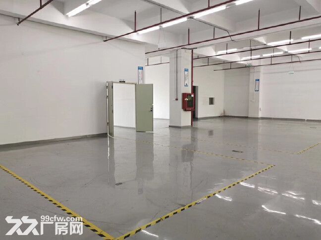 出租连杭开发区3000方单层，价格22元-图2