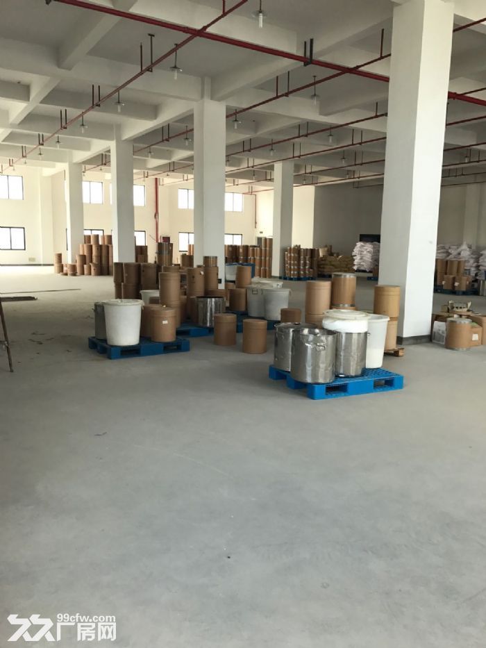 闻堰独栋不拆迁，500到3000方自由分割淘宝电子-图1