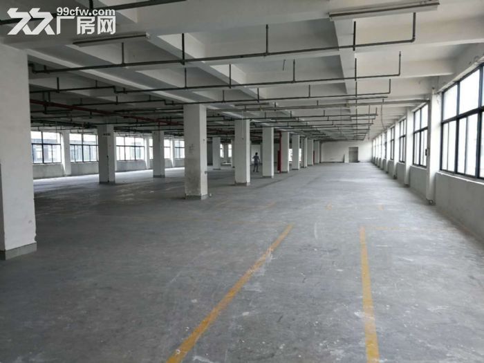 萧山桥南开发区机场高架匝道10000方整栋分割出租-图3