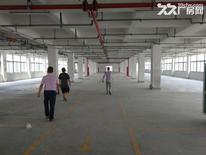 萧山桥南开发区机场高架匝道10000方整栋分割出租-图4