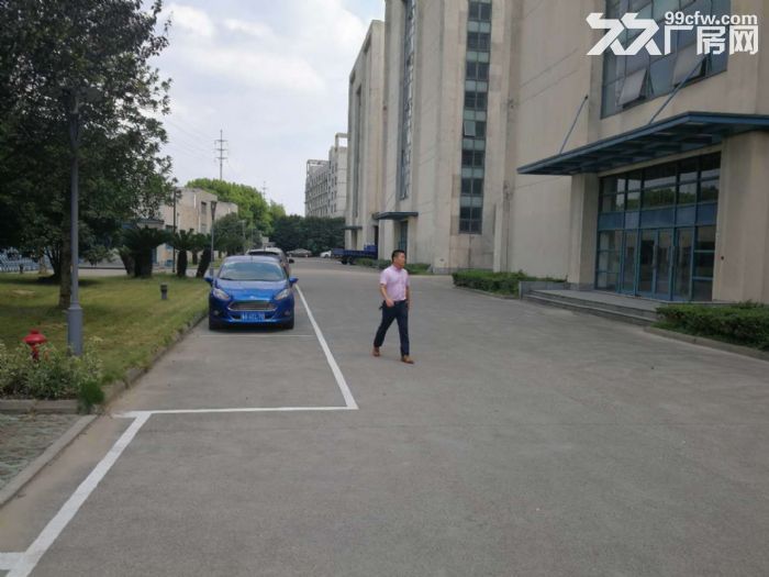 萧山桥南开发区机场高架匝道10000方整栋分割出租-图6
