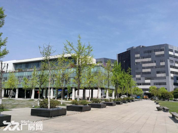 滨江萧山面积200方到50000方不等 楼上楼下都有适合仓储办公轻工-图1