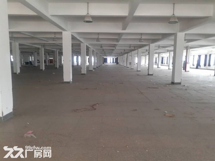 滨江萧山面积200方到50000方不等 楼上楼下都有适合仓储办公轻工-图4