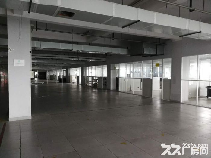 滨江萧山面积200方到50000方不等 楼上楼下都有适合仓储办公轻工-图3