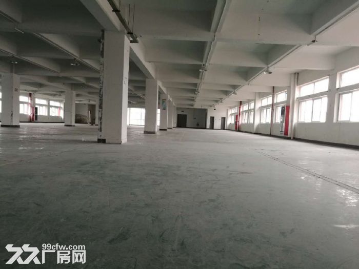 滨江萧山面积200方到50000方不等 楼上楼下都有适合仓储办公轻工-图6