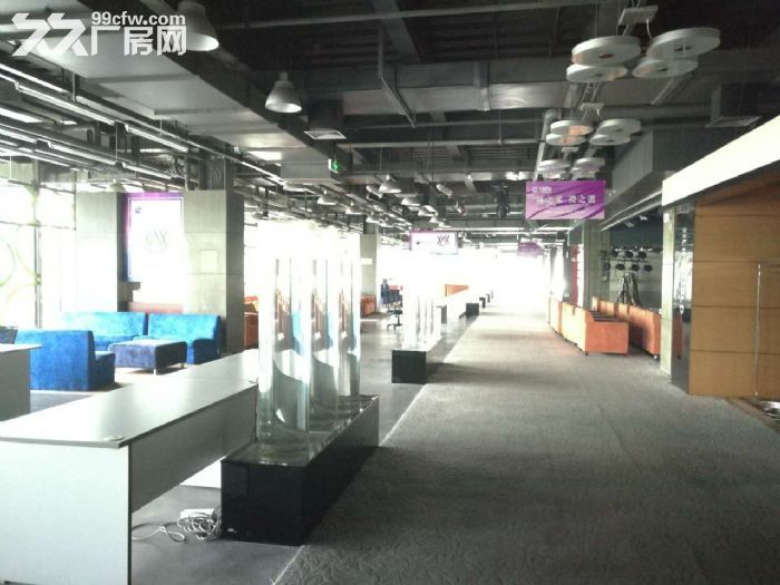 机场高架下优质园区1楼3000方玻璃幕墙 适合展厅总部-图3