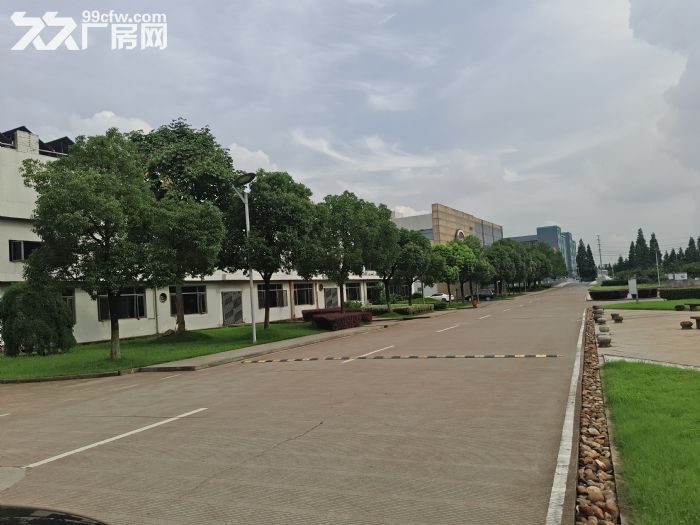 机场高架下优质园区1楼3000方玻璃幕墙 适合展厅总部-图8