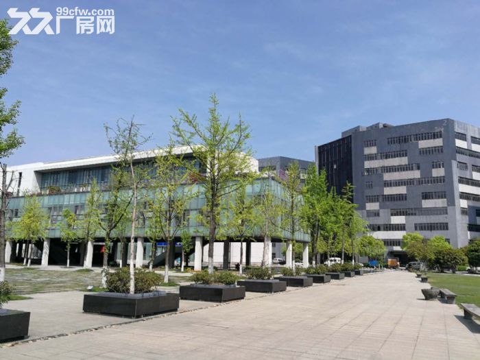 机场高架下1500方3000方优质园区 食宿班车方便-图4