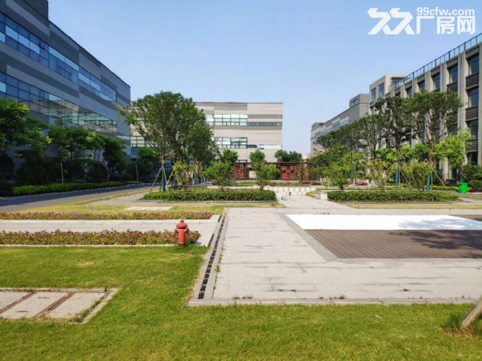 开发区一楼楼上厂房便宜租 面积1000方起 部分带装修-图2