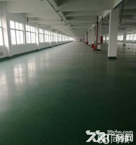 出租所前交通便利，全新10000方厂房，可分租-图1
