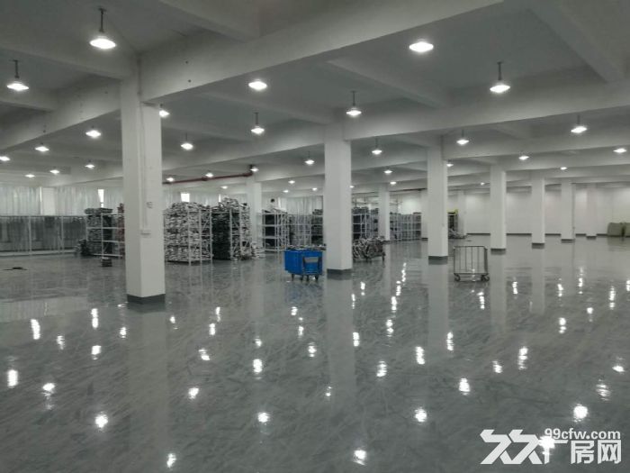滨康路500 600 1600方标准厂房带装修-图1
