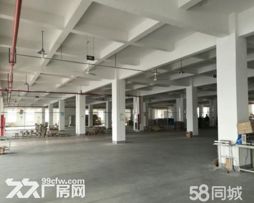 临安高虹2100方一楼有环氧地坪层高6米-图1