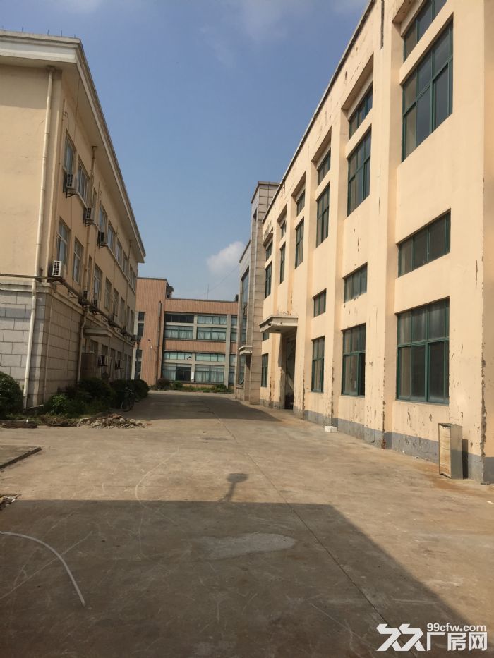 萧山钱塘江边的厂房，房子地段好配套全，临马路标准厂房-图1