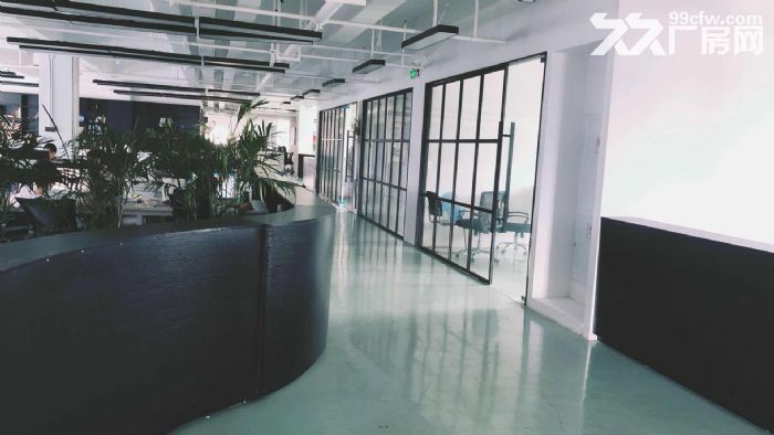 滨文路整层出租，适合服装展厅电商办公仓储等-图5