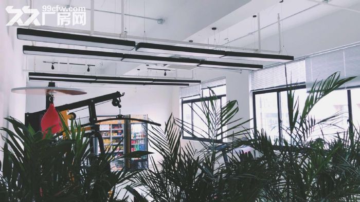 滨文路整层出租，适合服装展厅电商办公仓储等-图1