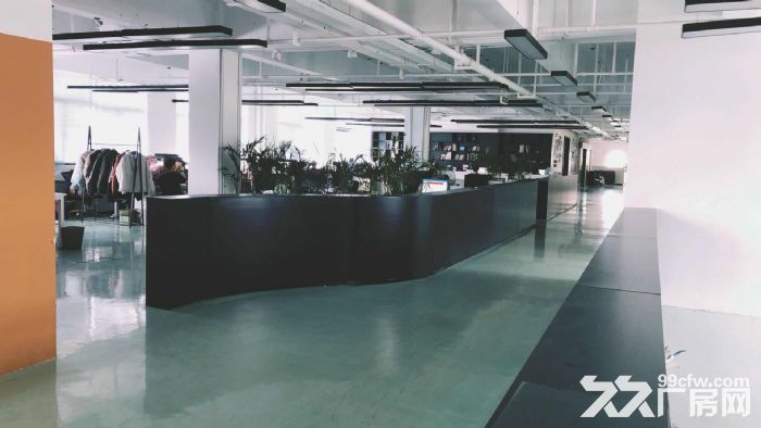 滨文路整层出租，适合服装展厅电商办公仓储等-图4