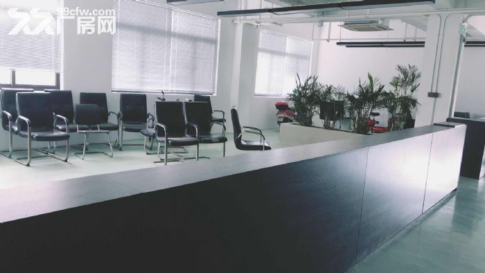 滨文路整层出租，适合服装展厅电商办公仓储等-图6