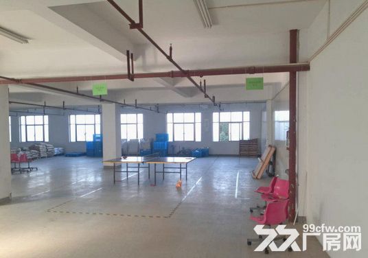 1400方厂房出租，仓库电商的理想之地-图6