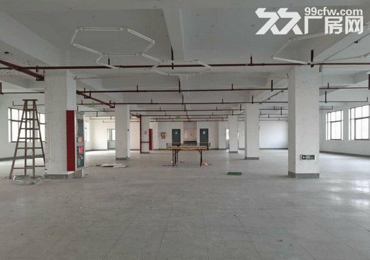 1400方厂房出租，仓库电商的理想之地-图7