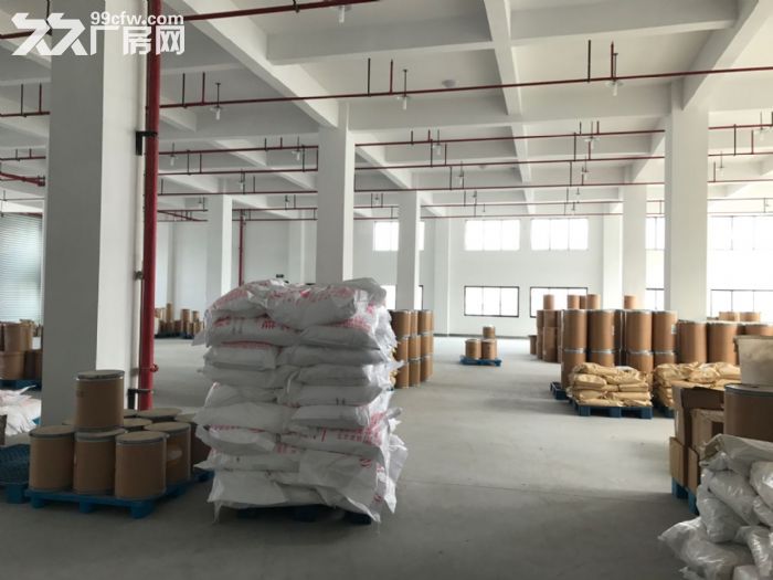 滨江1300方厂房出租，大货梯，适合淘宝服装设计展厅客户-图1