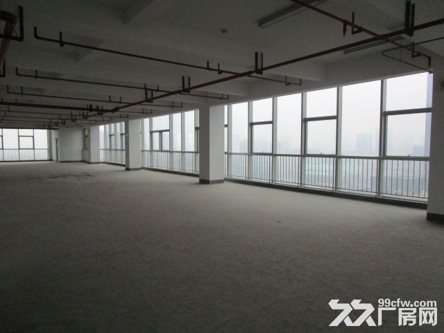 西兴厂房出租  速抢    先到先得-图1