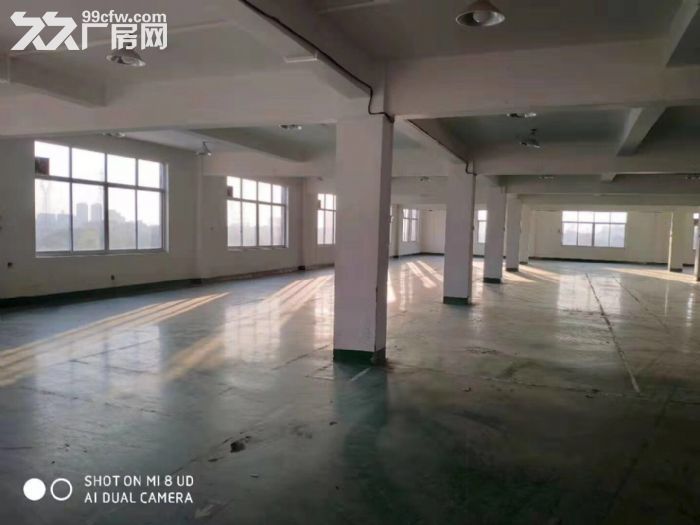 闻堰单层1400方标准厂房，适合淘宝仓库直接拎包-图1