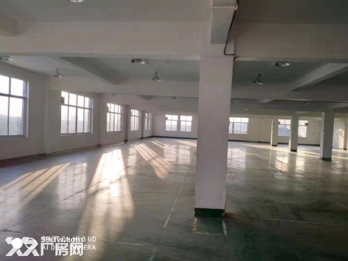 闻堰单层1400方标准厂房，适合淘宝仓库直接拎包-图7