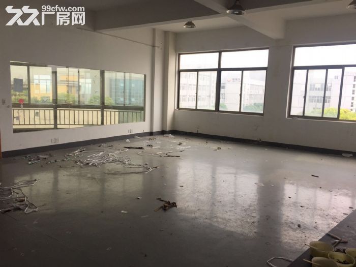 滨江600方厂房出租  价格便宜 淘宝仓储办公-图1