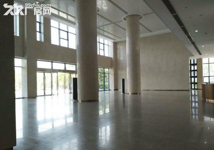 小面积150到500都有的，适合办公摄影服装设计-图6