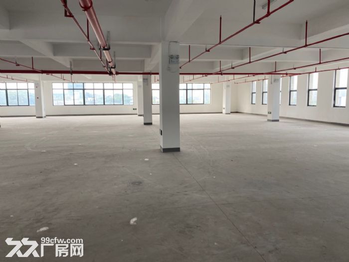 滨江标准厂房招租，地铁5号线滨康站，适合各类企业-图1