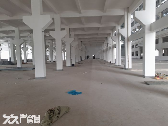 机场附近园区整栋出租 面积24000方一楼层高十米八千一层-图1