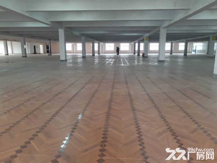 鸿达路淘宝仓库3000 6000方出租 2个大货梯-图1