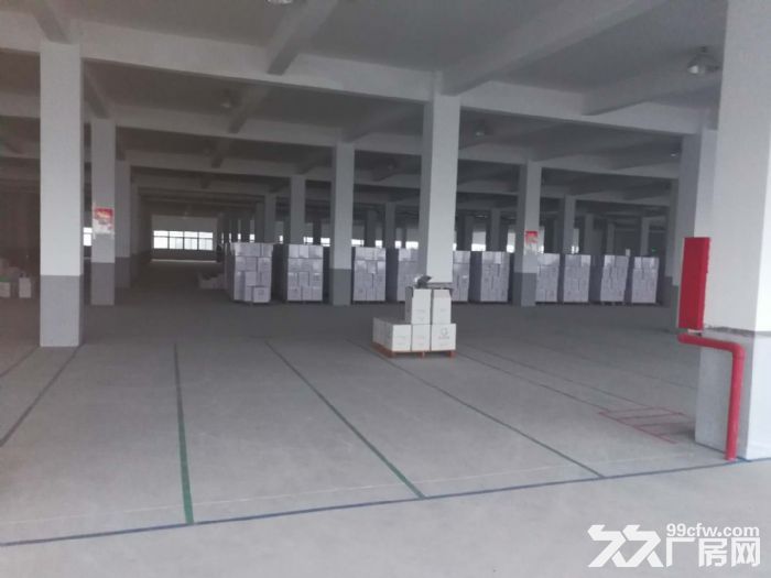 机场高速鸿达路单层2000方 适合电子科技轻加工-图5