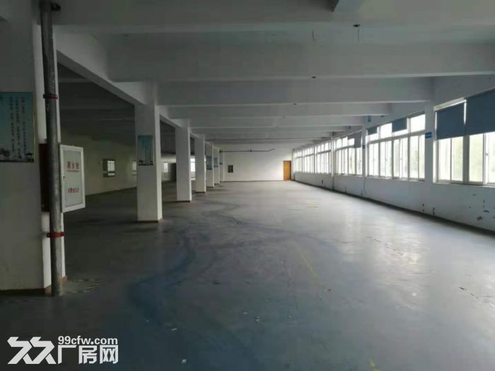 房东直租康惠路1号厂房、仓库，可注册、可生产-图3