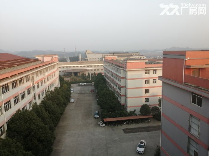 32000方标准厂房招租-图3