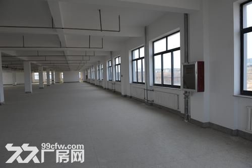 许巷13000方厂房 1600方起租  每层3500方-图1