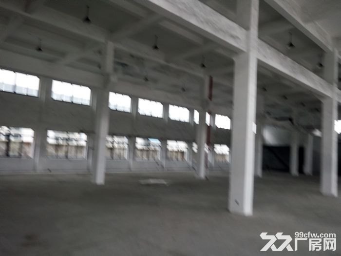 乍浦1000平方一楼厂房，22元每平方，可做五金，紧固件，注塑，钣金等-图2