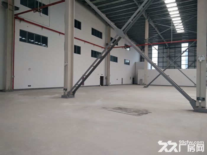嘉善500000平标准厂房出租，配有办公，宿舍，空地大。-图4
