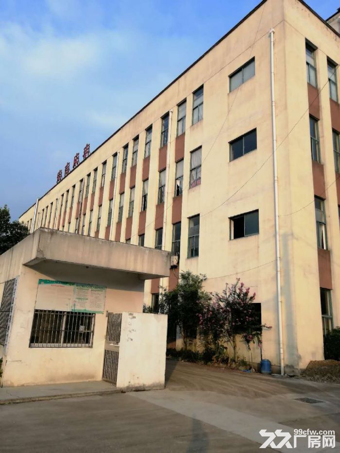 出租海宁周王庙全新厂房24000方，1−4层-图1